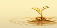 Groundnut Oil- 1 liter